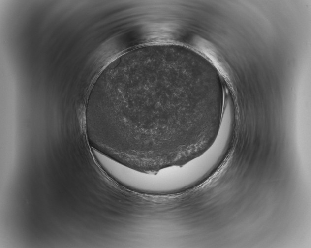X0000094381289200711021219