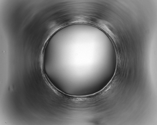 X0000094381290200711021219