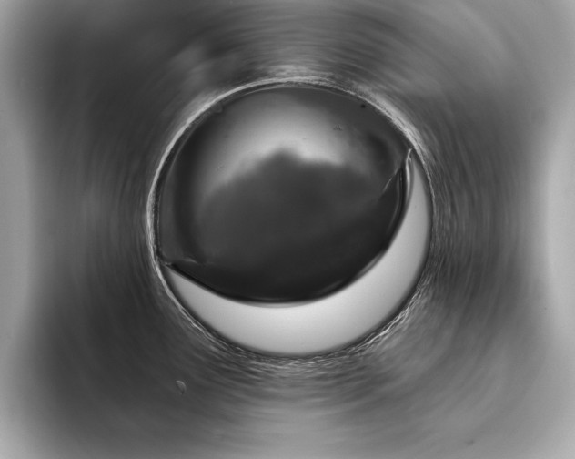 X0000094381291200711021219