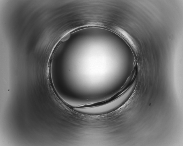 X0000094381292200711021219