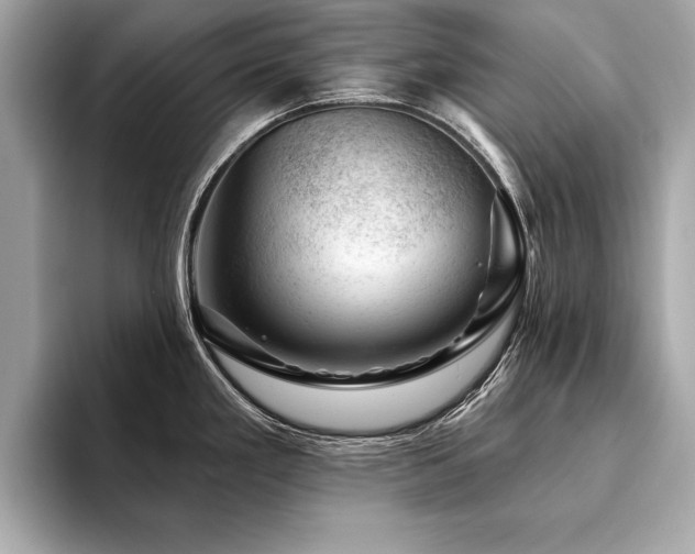 X0000094381293200711021219