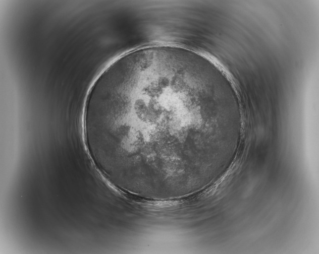 X0000094381294200711021219