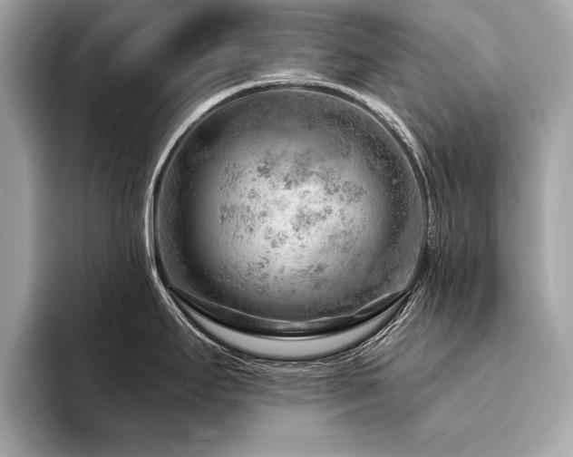X0000094381295200711021219