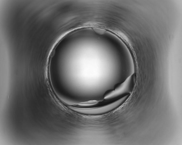 X0000094381296200711021219