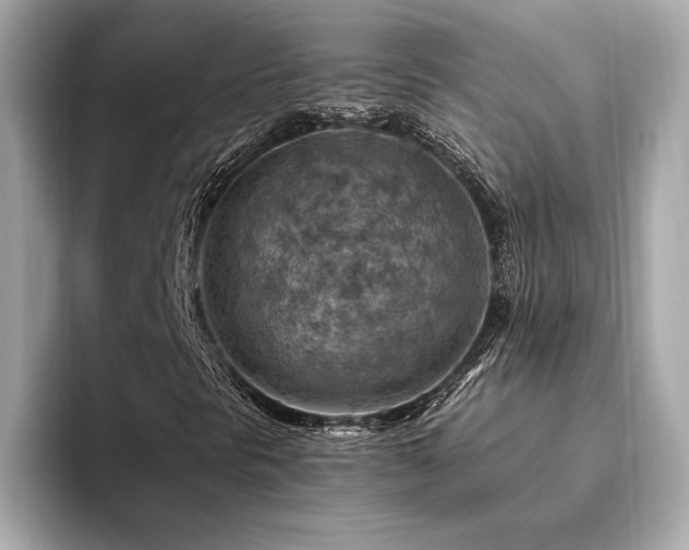 X0000094381297200711021219