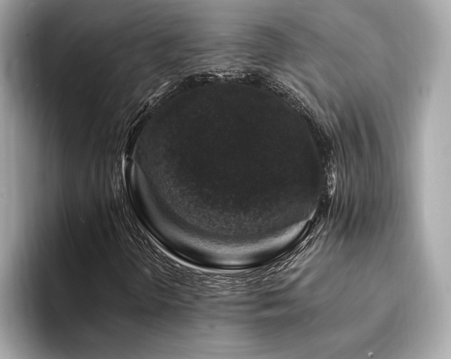 X0000094381298200711021219