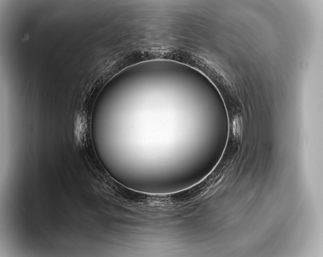 X0000094381299200711021219