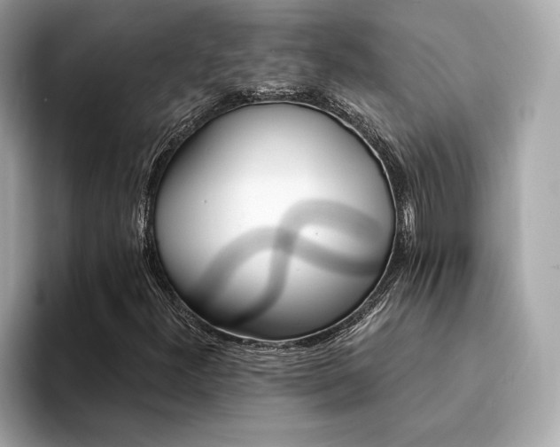 X0000094381300200711021219