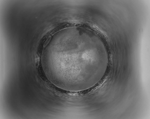 X0000094381302200711021219