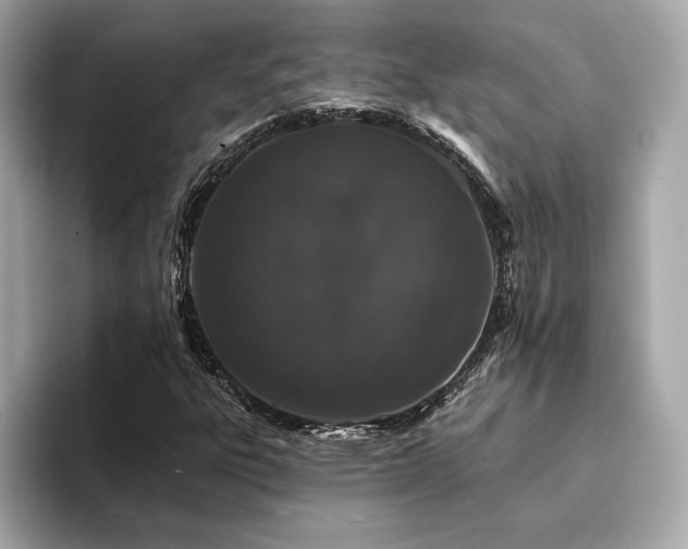 X0000094381303200711021219