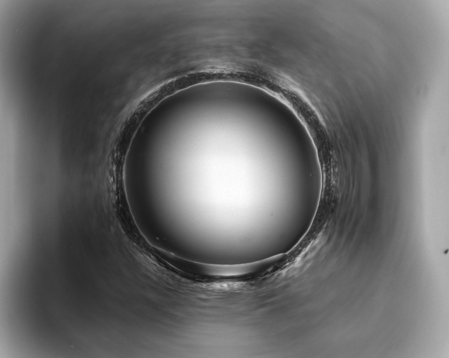 X0000094381304200711021219