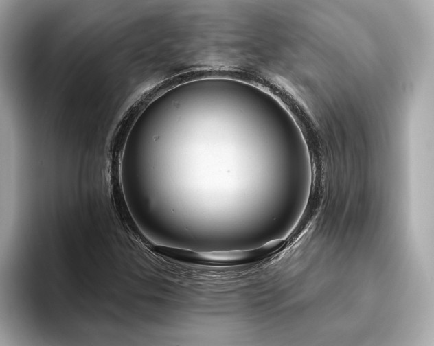 X0000094381307200711021219