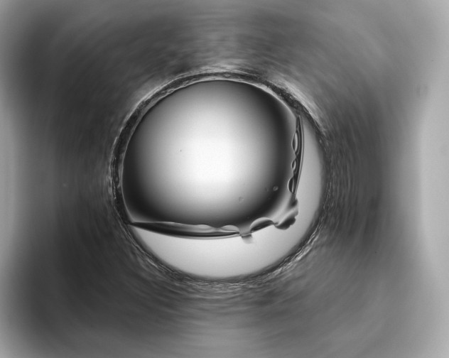 X0000094381308200711021219