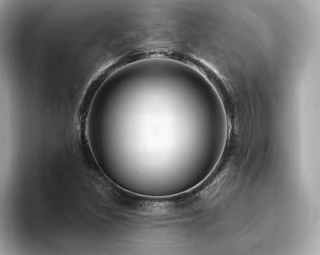 X0000094381309200711021219