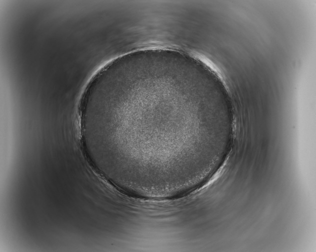 X0000094381310200711021219