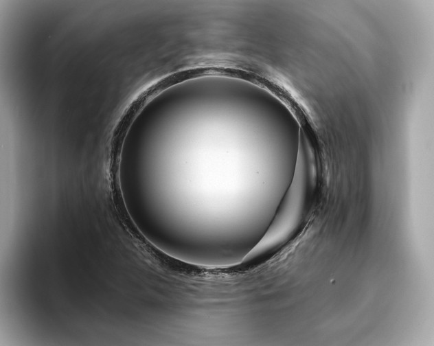 X0000094381312200711021219