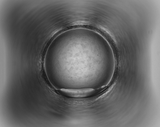 X0000094381313200711021219