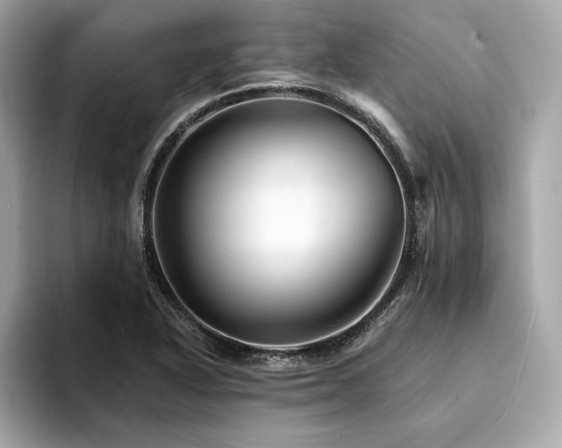X0000094381318200711021219
