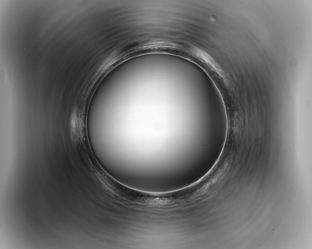 X0000094381321200711021219