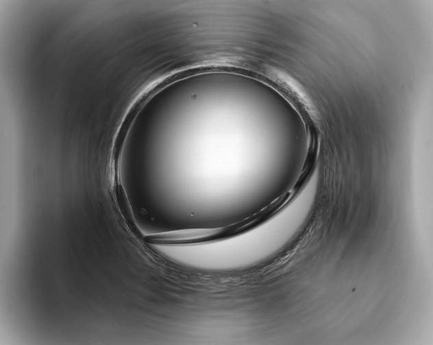 X0000094381324200711021219