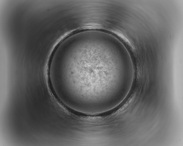 X0000094381325200711021219
