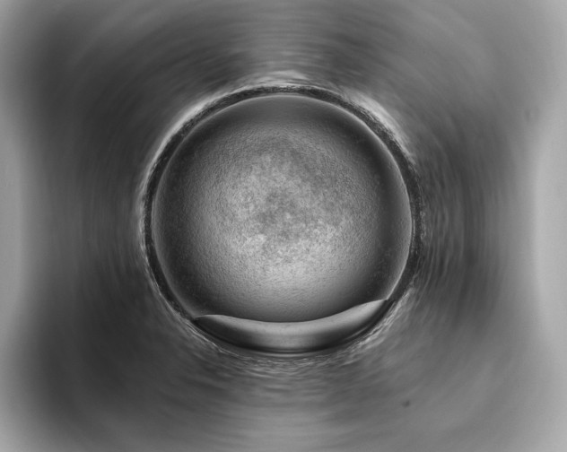X0000094381326200711021219