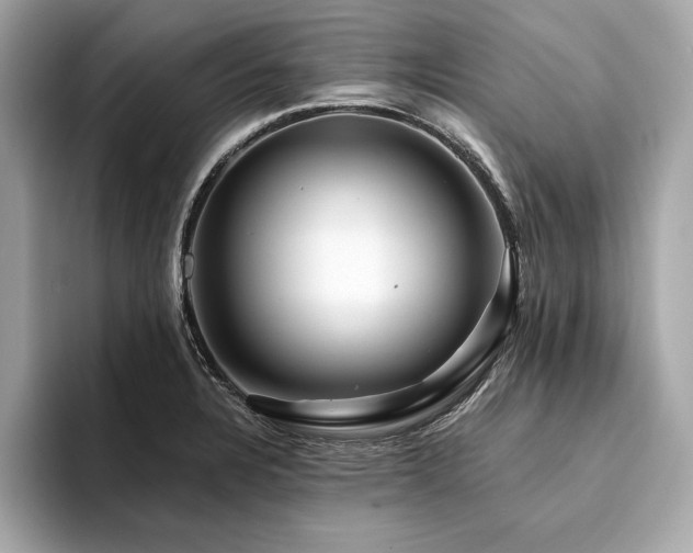 X0000094381328200711021219