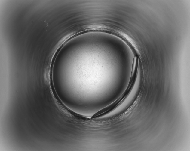 X0000094381330200711021219