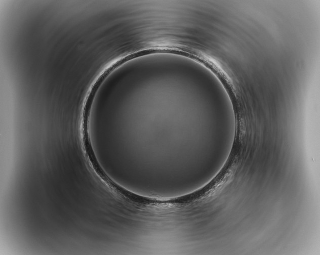 X0000094381331200711021219
