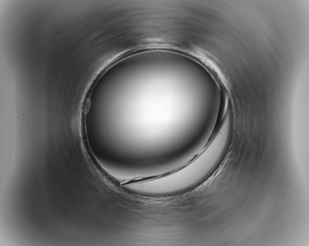 X0000094381333200711021219