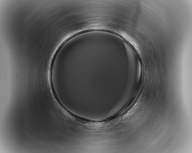 X0000094381334200711021219