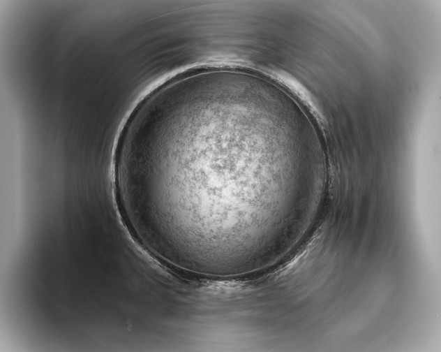X0000094381335200711021219