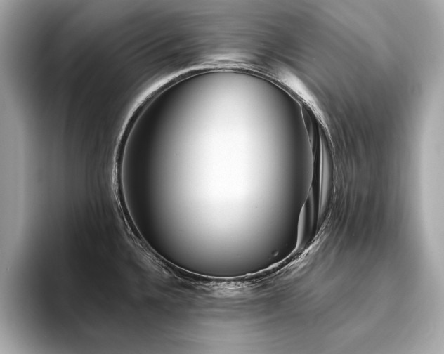 X0000094381336200711021219