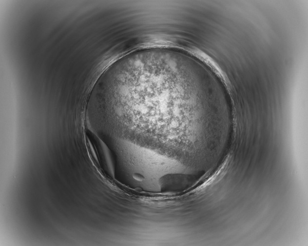 X0000094381337200711021219