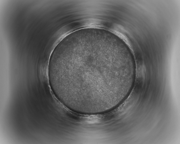 X0000094381338200711021219