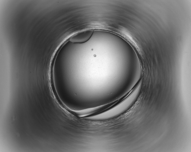X0000094381339200711021219
