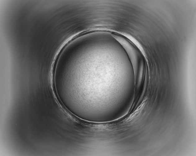 X0000094381341200711021219