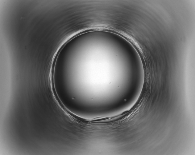 X0000094381343200711021219