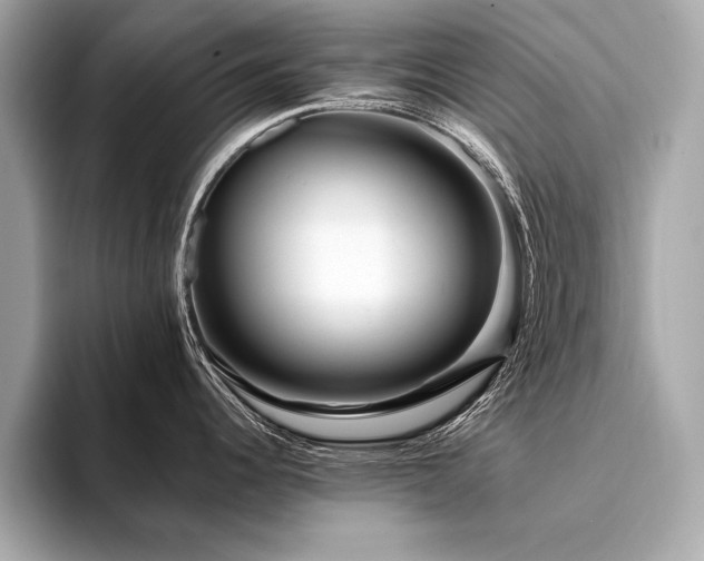 X0000094381344200711021219