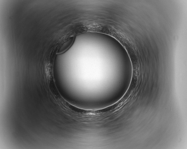X0000094381346200711021219