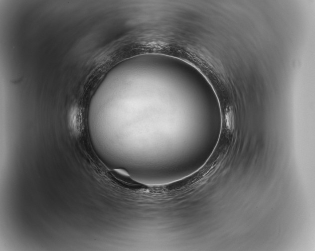 X0000094381347200711021219