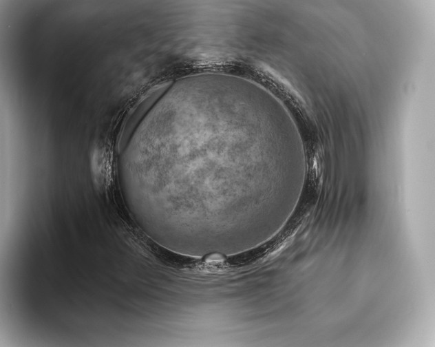 X0000094381348200711021218
