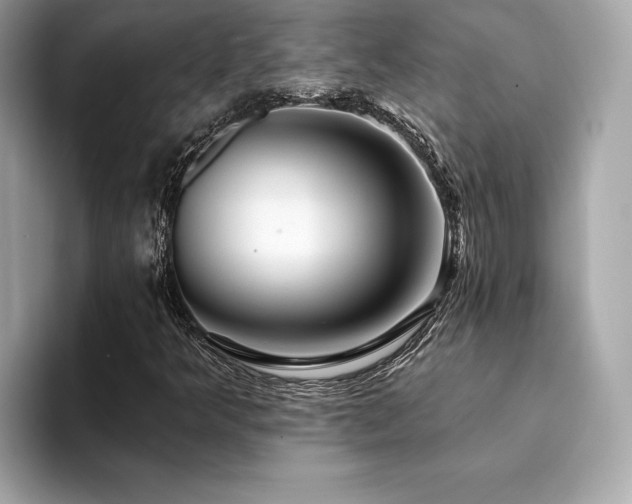 X0000094381349200711021218