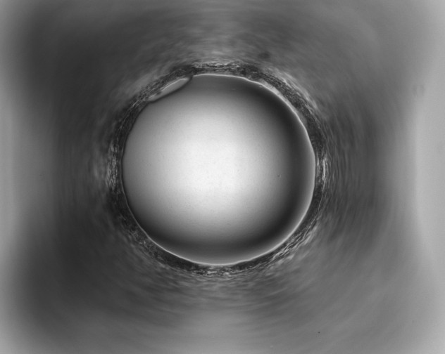 X0000094381350200711021218