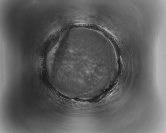 X0000094381351200711021218