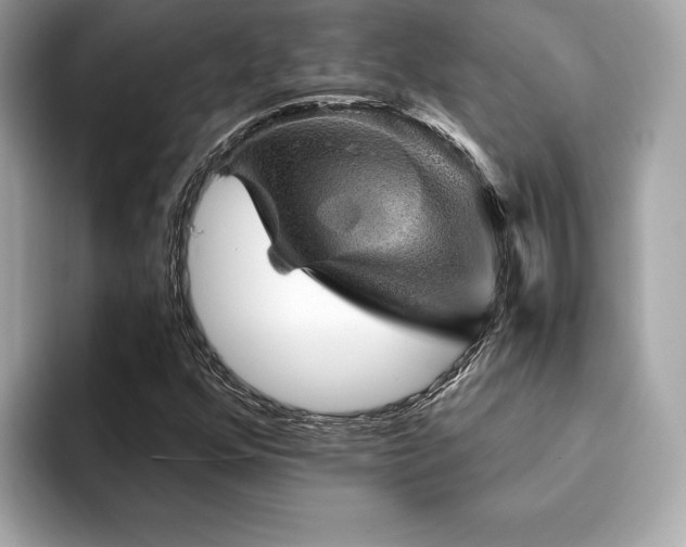 X0000094381352200711021218