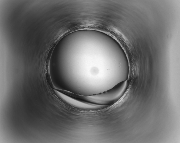 X0000094381353200711021218