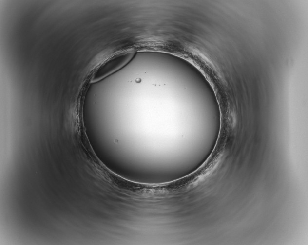 X0000094381354200711021218