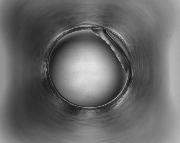 X0000094381355200711021218