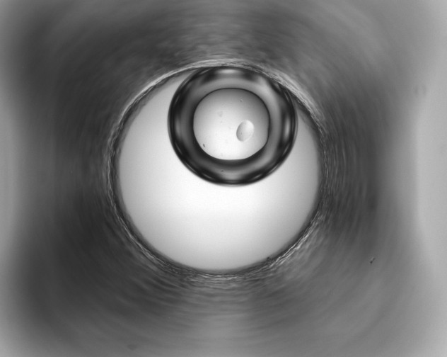 X0000094381356200711021218